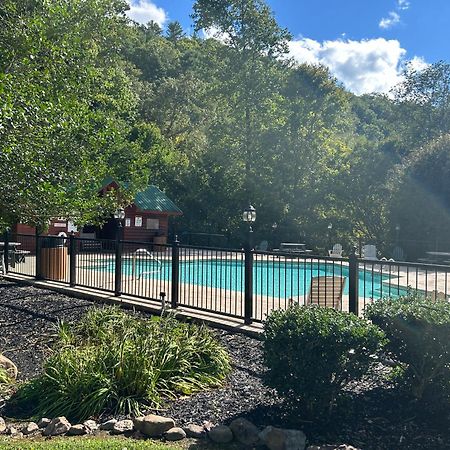 Elegant & Cozy Cabin Near Pigeon Forge سيفيرفيل المظهر الخارجي الصورة